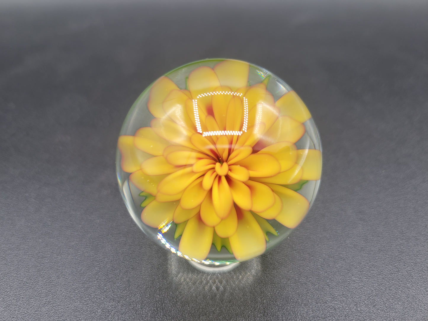 Yellow dahlia flower marble