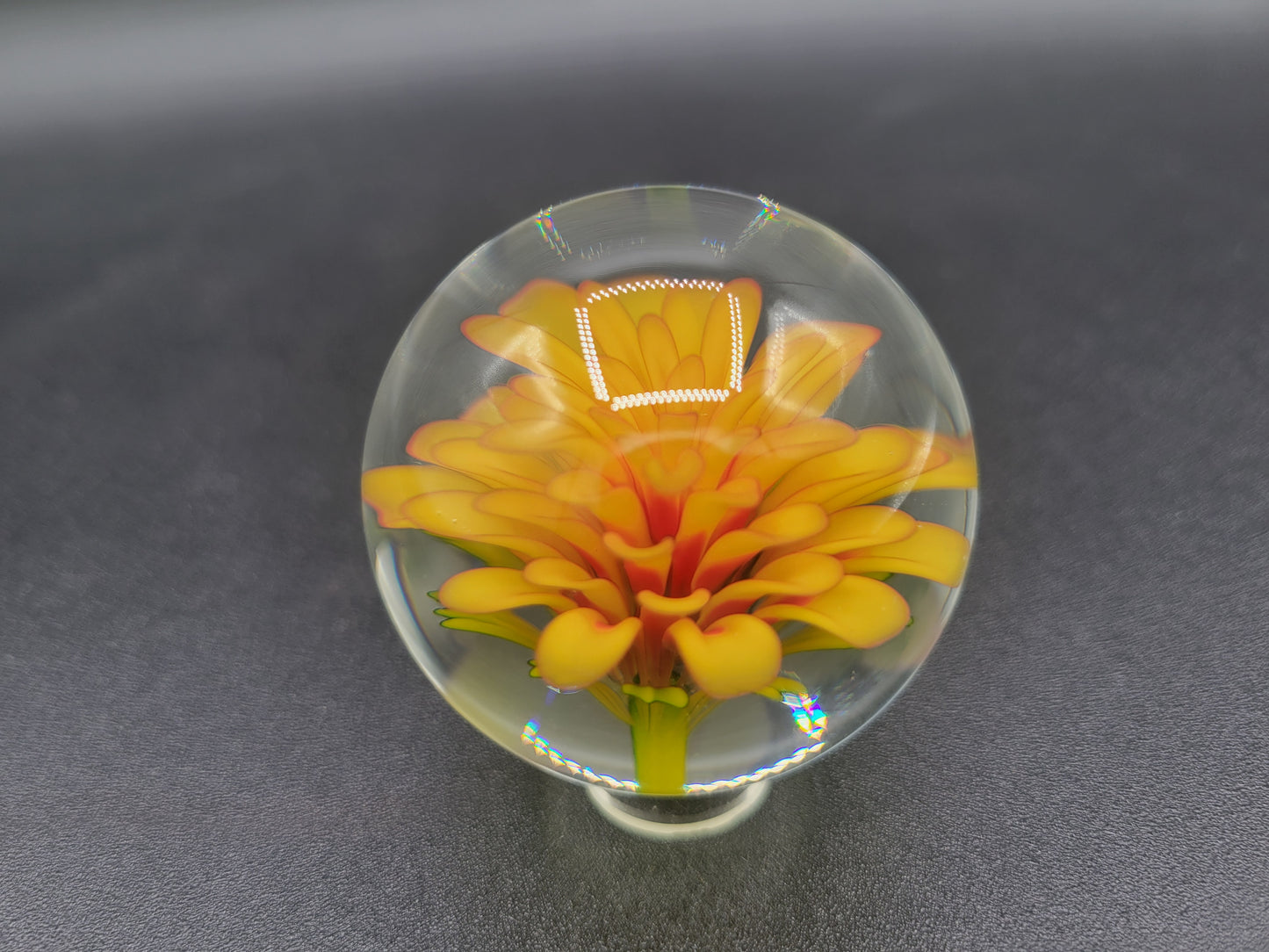 Yellow dahlia flower marble