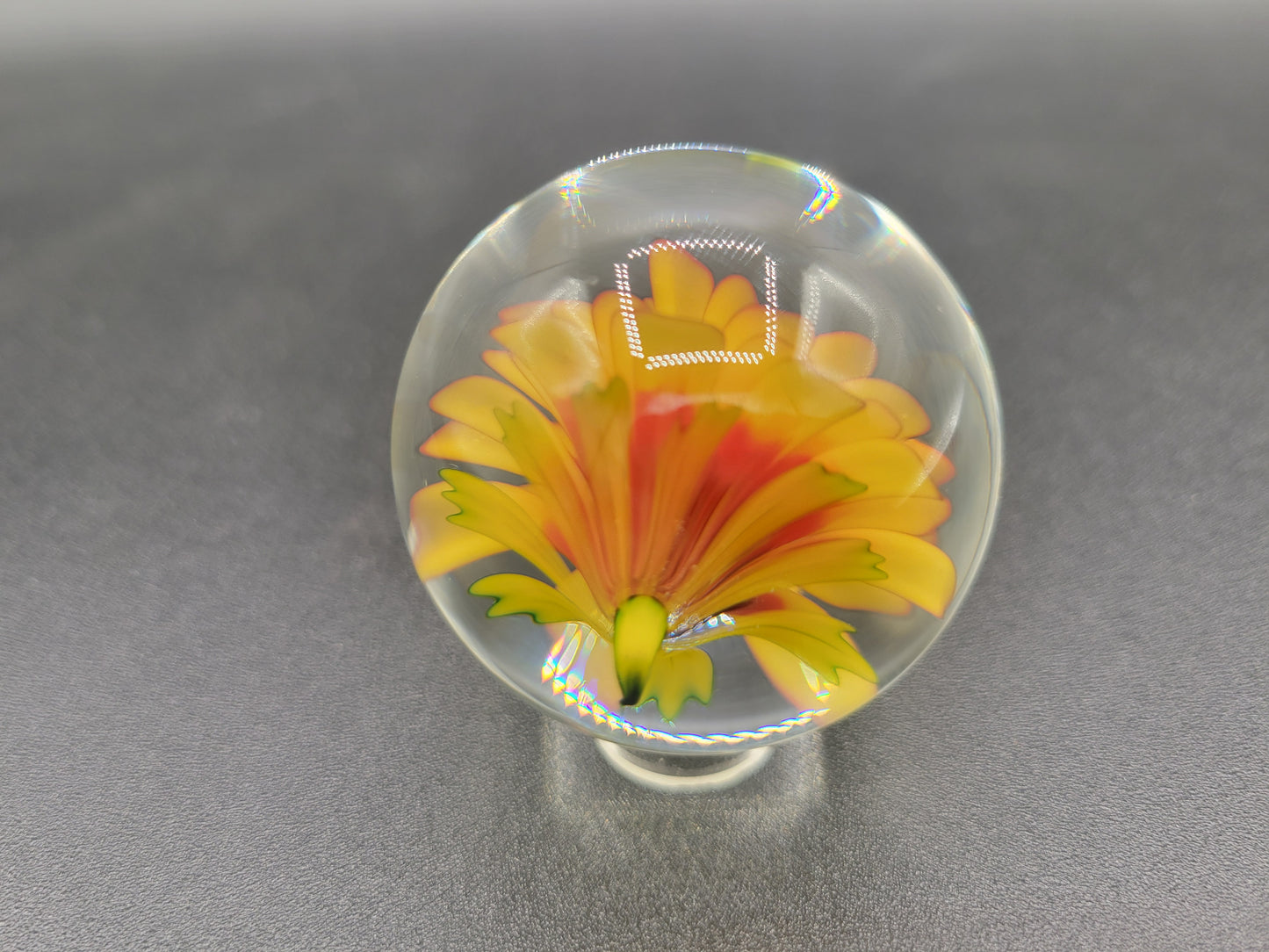 Yellow dahlia flower marble