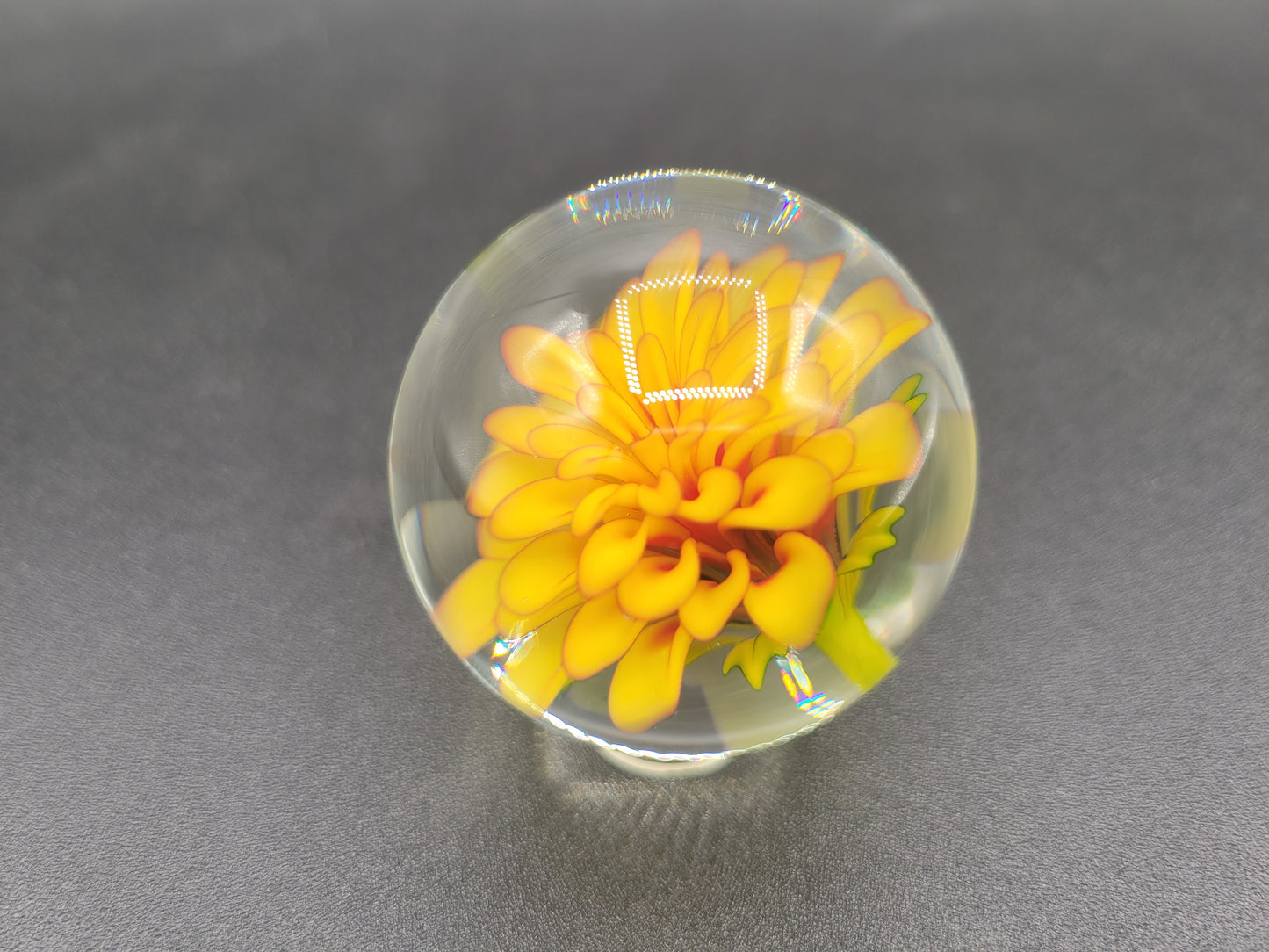 Yellow dahlia flower marble